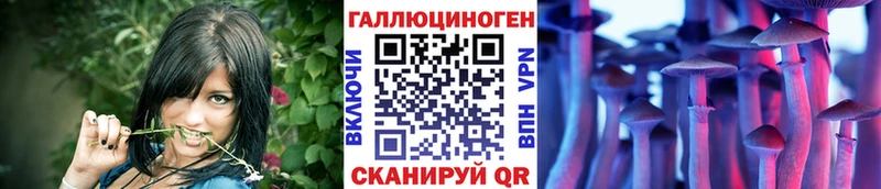 Псилоцибиновые грибы GOLDEN TEACHER  Балабаново 