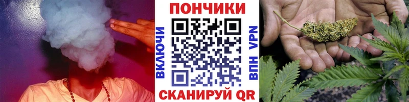 Конопля сатива  Балабаново 